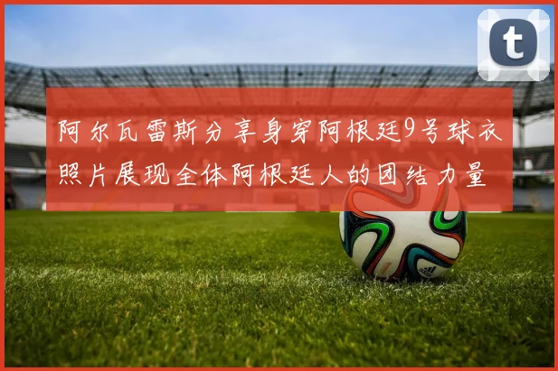 阿尔瓦雷斯分享身穿阿根廷9号球衣照片展现全体阿根廷人的团结力量