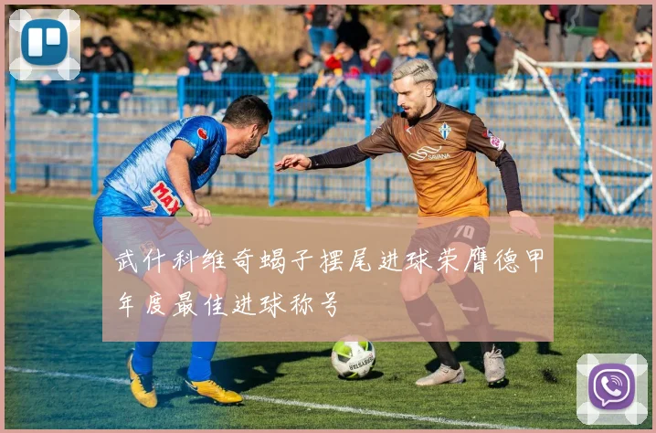 武什科维奇蝎子摆尾进球荣膺德甲年度最佳进球称号